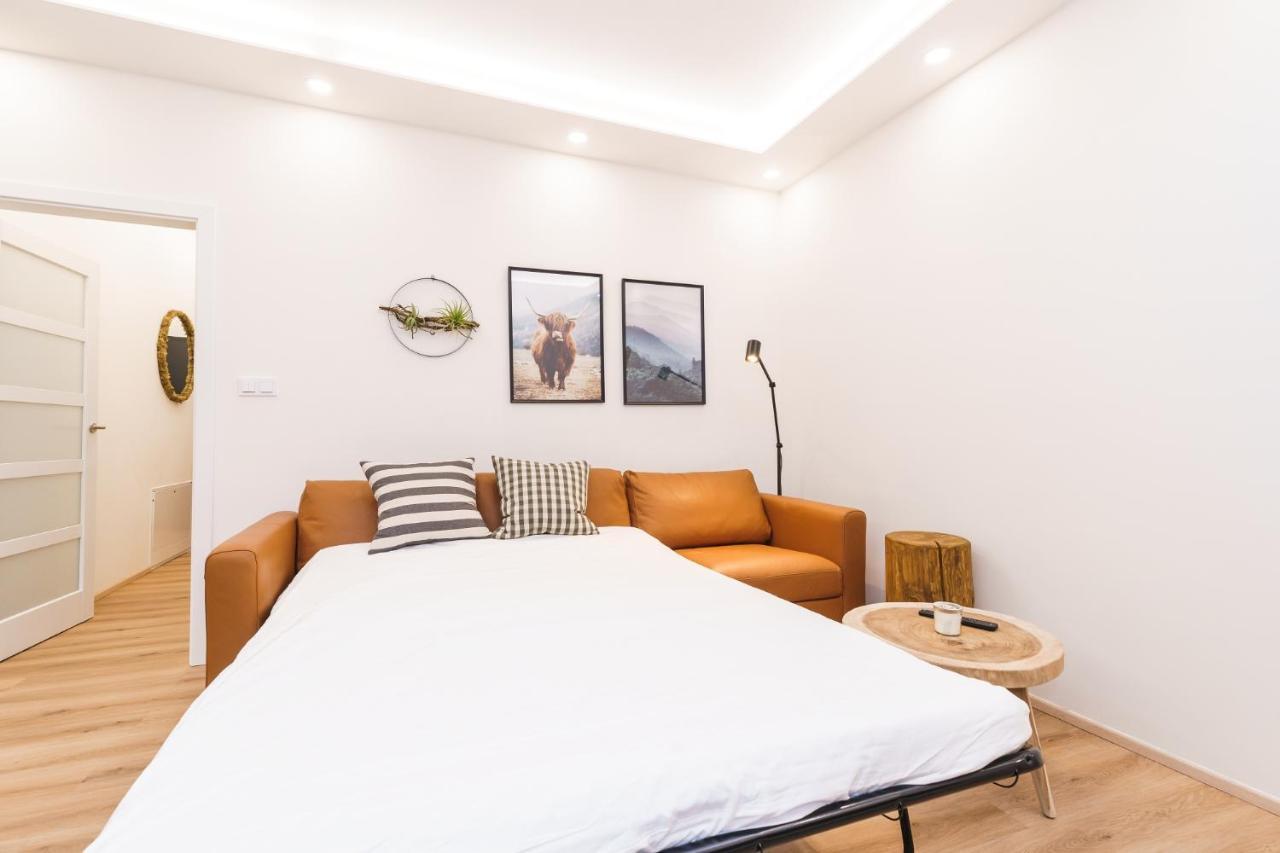 Apartman Ski Plesivec 阿贝尔塔米 外观 照片