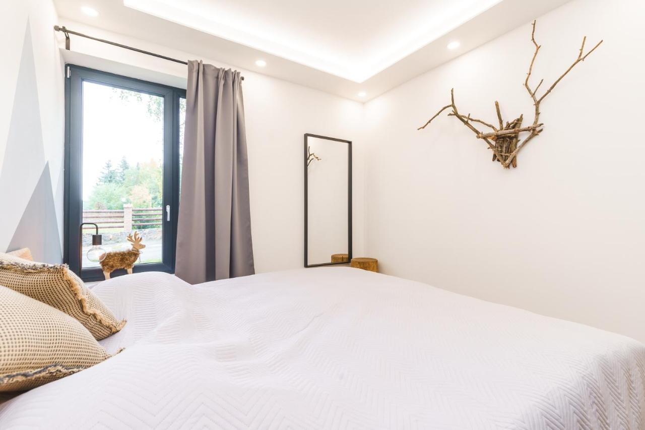 Apartman Ski Plesivec 阿贝尔塔米 外观 照片