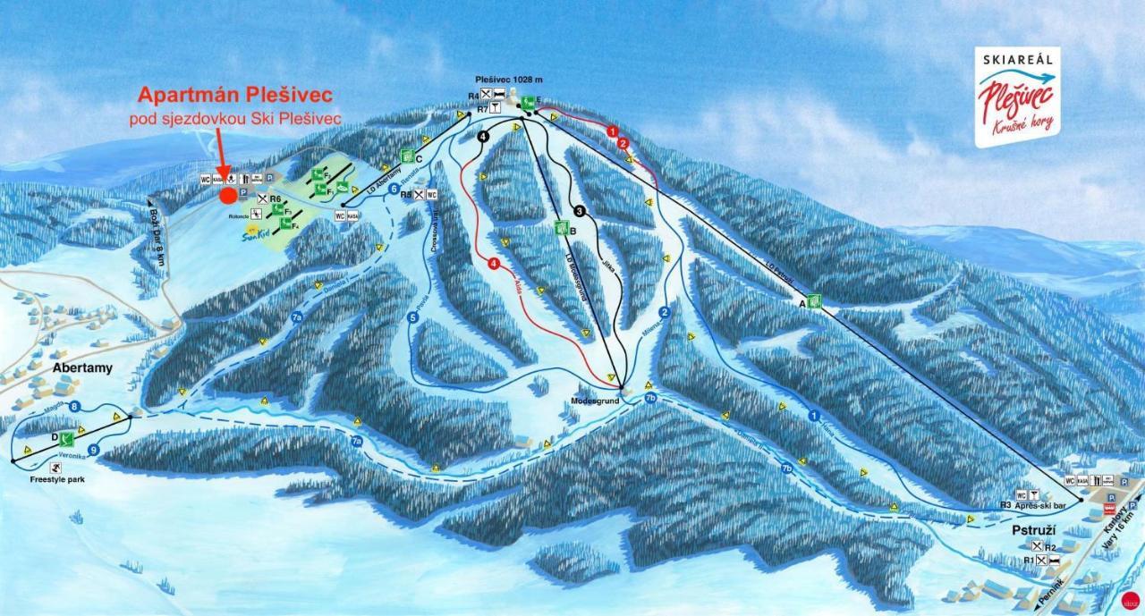 Apartman Ski Plesivec 阿贝尔塔米 外观 照片