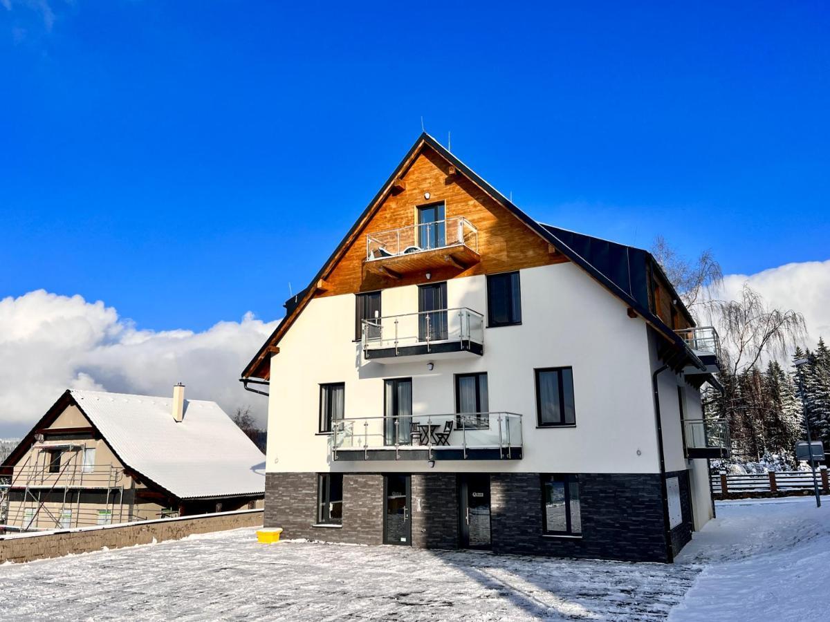 Apartman Ski Plesivec 阿贝尔塔米 外观 照片